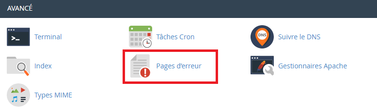 صفحة خطأ في cPanel