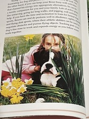 Terra-Nova The Boxer Hardcover Book With DVD 207 Pages