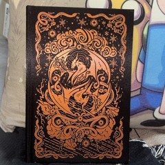Skyshade: Collector’s Edition Lightlark Saga 3 slight damage see photos
