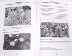 The Lost Ways 2nd Edition Claude Davis Survival Preparedness Book Prepper Guide