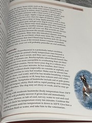 Terra-Nova The Boxer Hardcover Book With DVD 207 Pages