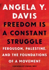 Freedom Is a Constant Struggle: Ferguson, Palestine, and the Foundations – GOOD