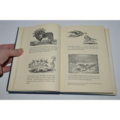 How the World Will End, by Daniel Cohen, Hardcover w Dust Jacket, Illustrated