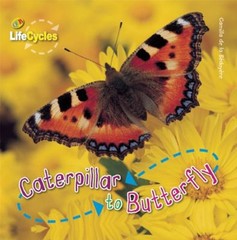 Caterpillar to Butterfly Library Binding Camilla de la Bedoyere