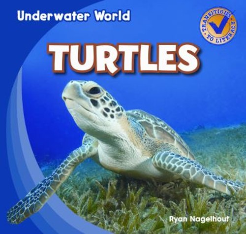 Turtles Paperback Ryan Nagelhout