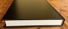 IDEAS IN ACTION: POLITICAL TRADITION IN THE TWENTIETH Stephen Eric Bronner HC A2