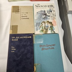 Vtg Chapter Books Novels Fiction HC Lot Children Youth School Reader Ex Lib