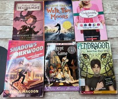 Lot of 39 Grade 3-6 Chapter Books Novels 15lbs / G. Stilton, Beverly Cleary etc.