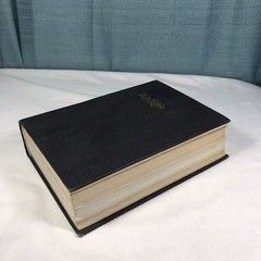 The Holy Bible Douay Version John Murphy Company Genuine Leather 1914