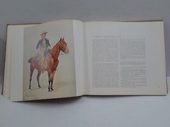 FREDERICK REMINGTON by Peter Hassrick 1973 HC Illustrated 13.5 x 12.25 in
