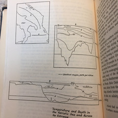 Deep Water Ancient Ships Willard Bascom 1976 Doubleday Maritime History Book