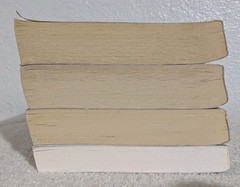 Lot of 4 Jody Hedlund Bride Ship Book Series 1-4 Set PB Mail Order Brides