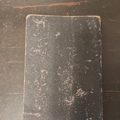 Palästina-Bilder-Testament German Illus Hardcover Luther 1812