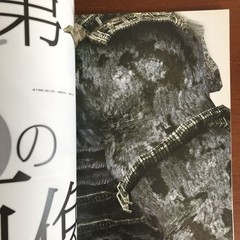 Shadow of the Colossus Art Book Illustration