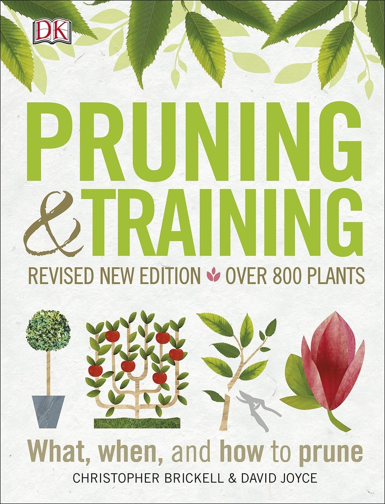 Pruning and Training, Revised New Edition: What, When, and How to Prune