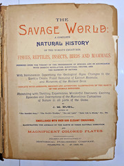 The Savage World A Complete Natural History J.W. Buel (1891, HC) 1st Eds Book