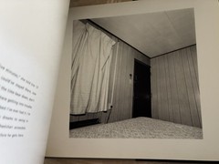 TRIP Photography by Susan Lipper Text by Frederick Barthelme HCDJ