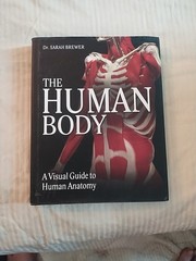 The Human Body: A Visual Guide to Human Anatomy by Dr. Sarah Brewer