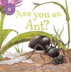 Are You an Ant? (Backyard Books) – Paperback By Allen, Judy – GOOD