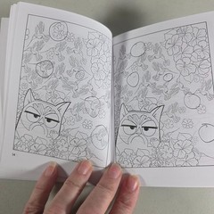 Grumpy Cat Spot‑the‑Differences Coloring Book – 4″ × 6″ – 62 Pages – Dover