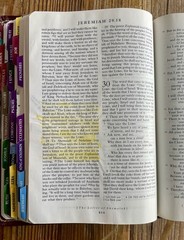 Out of Print – 9814A – Burgundy Oxford NRSV with Apocrypha, Genuine Leather