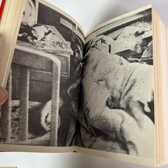 Joseph Goebbels Tagebucher 1945 Die Aufzeichnungen Hardcover (German Edition)