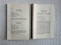 VTG Ashantilly Cookbook Darien Georgia Wire Spiral Bound Haynes Family 200 Pages