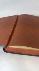 Wool-Gathering [Hardcover] Gail Hamilton 1867