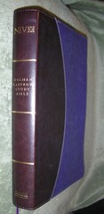 Holman Rainbow STUDY BIBLE NIV Holy Scriptures NIV ~ Brown Lavender LeatherTouch