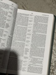 Holy Bible : Niv, Center-column Reference Bible, Green, Red Letter, Comfort P…