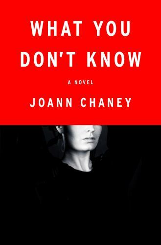 What You Don’t Know by Chaney, Joann