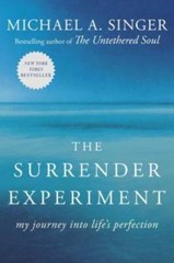 The Surrender Experiment: My Journey into Life’s Perfection – Paperback – GOOD