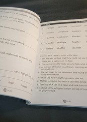 S.P.I.R.E 4th Edition Level 5 Workbook New Unused Home School 309 pages Educatio