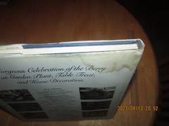 Berries : Cultivation, Decoration, and Recipes by Mary Forsell (1989, Hardcover)