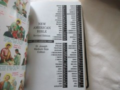St. Joseph Edition New American Bible Revised Edition Soft Leather 609/19B New