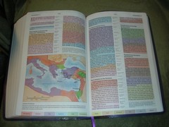 Holman Rainbow STUDY BIBLE NIV Holy Scriptures NIV ~ Brown Lavender LeatherTouch