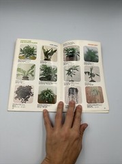 Living With Happy Plants Reference Guide Booklet + Color Photos 34 Pages B2-B2