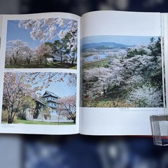Japanese Cherry Blossoms Hardcover Book | Wide版 152 pages 7.4 x 10.3 in