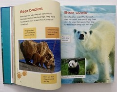 2023 WONDERS LITERATURE ANTHOLOGY 2 ELEMENTARY ENGLISH TEXTBOOK McGRAW HILL