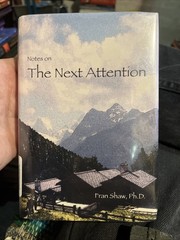Notes on The Next Attention