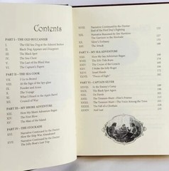 Treasure Island Book – Robert Louis Stevenson – Illustrated (New) Pirate Story