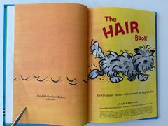 Lot of 10: Dr Seuss Random Miscellaneous Hardcover Books for Kids ~ Free Ship!