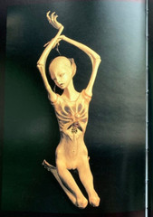 KATAN DOLL RETROSPECTIVE Photo Book Amano Doll Artworks BJD JPN Ball Joined Doll