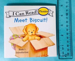 Biscuit More Phonics Fun Childrens Books I Can Read Beginning Readers Lot 12