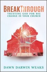 Breakthrough: Trusting God for Big Change in Your Church – Paperback – GOOD