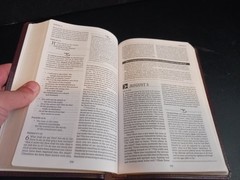 The MacArthur Daily Bible (Leather) – Nelson – John MacArthur 2003 NASB Version