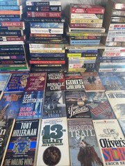 Fiction Books PBK • Pick Any 3 for $11 • Hundreds of Titles • Various Sub-Genres