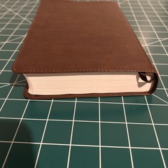 ESV Concise Study Bible (TruTone, Brown): Holy Bible, English Standard Versi…