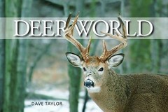 Deer World by Dave Taylor