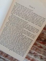 The Countess Angelique by Sergeanne Golon (1980, Trade Paperback)